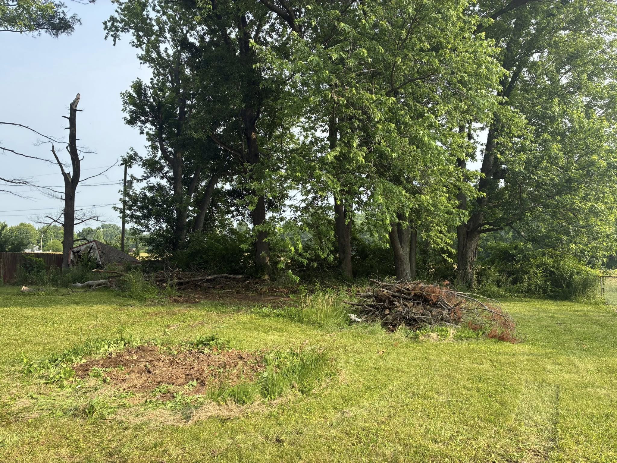 Undergrowth Removal McHatton