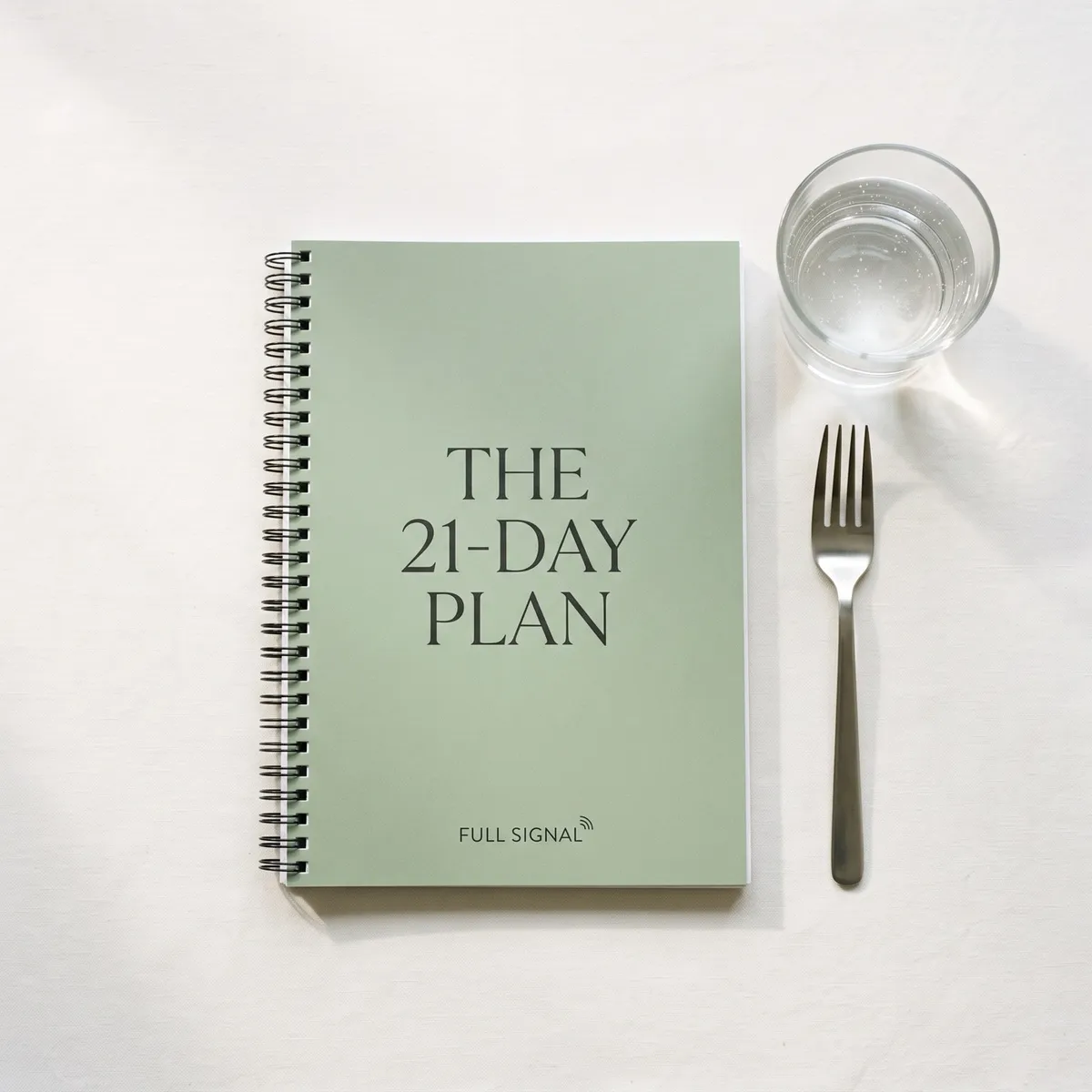 The 21-Day Plan guide