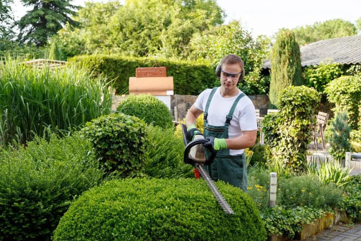 Auckland landscaping Services