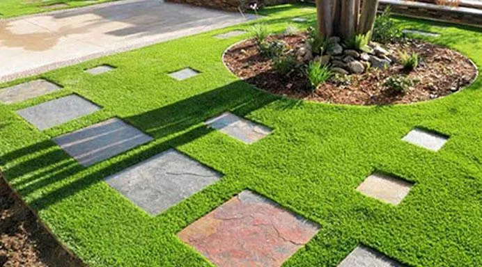 Synthetic Grass Design Auckland