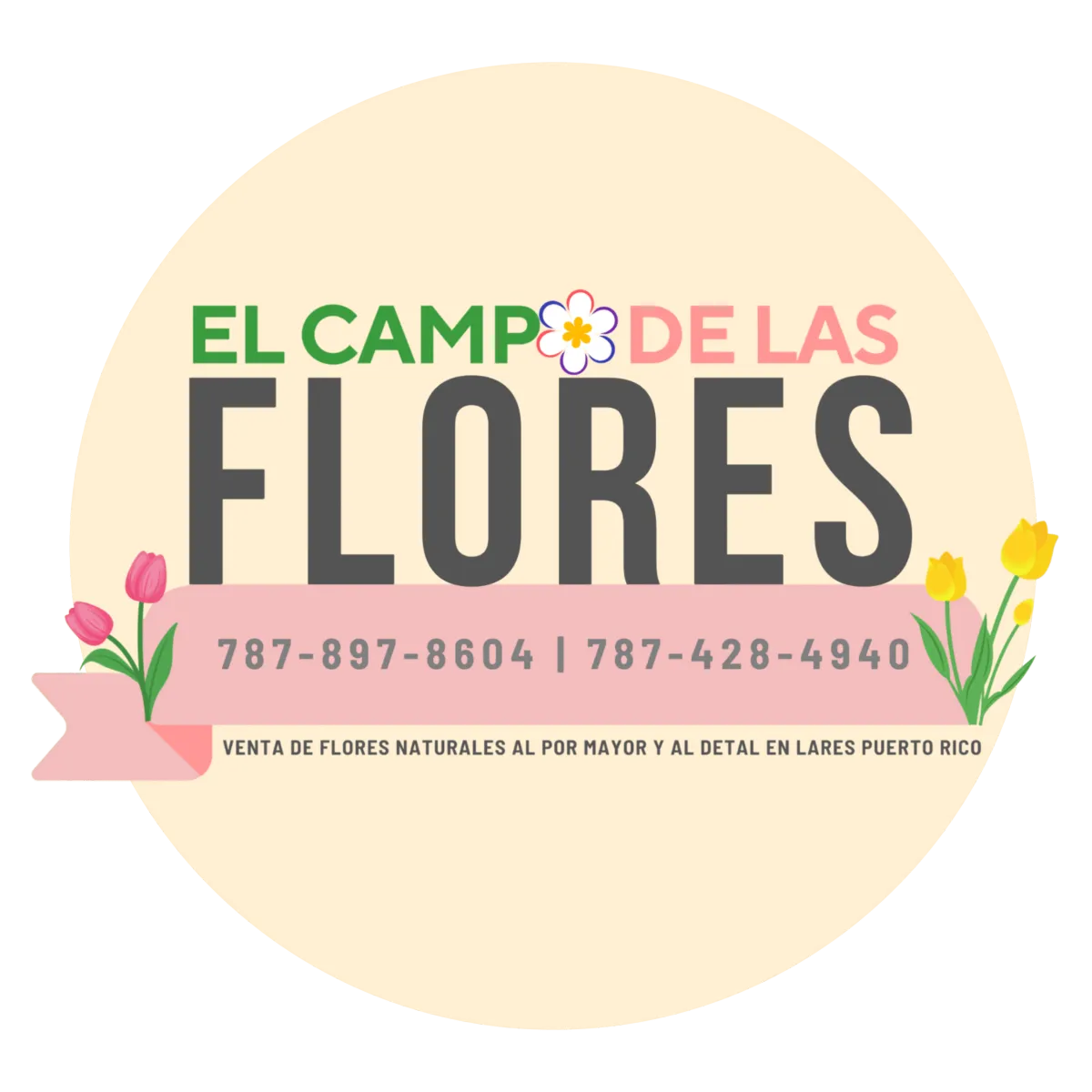 Brand Logo
