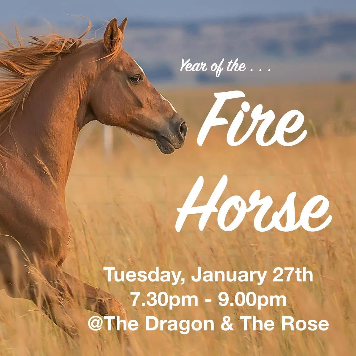 Year of the Fire Horse