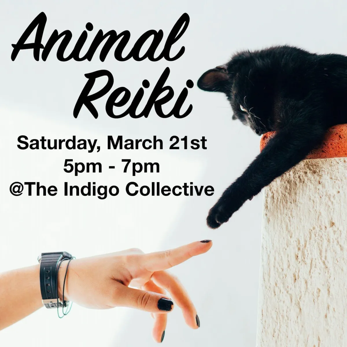 Animal Reiki