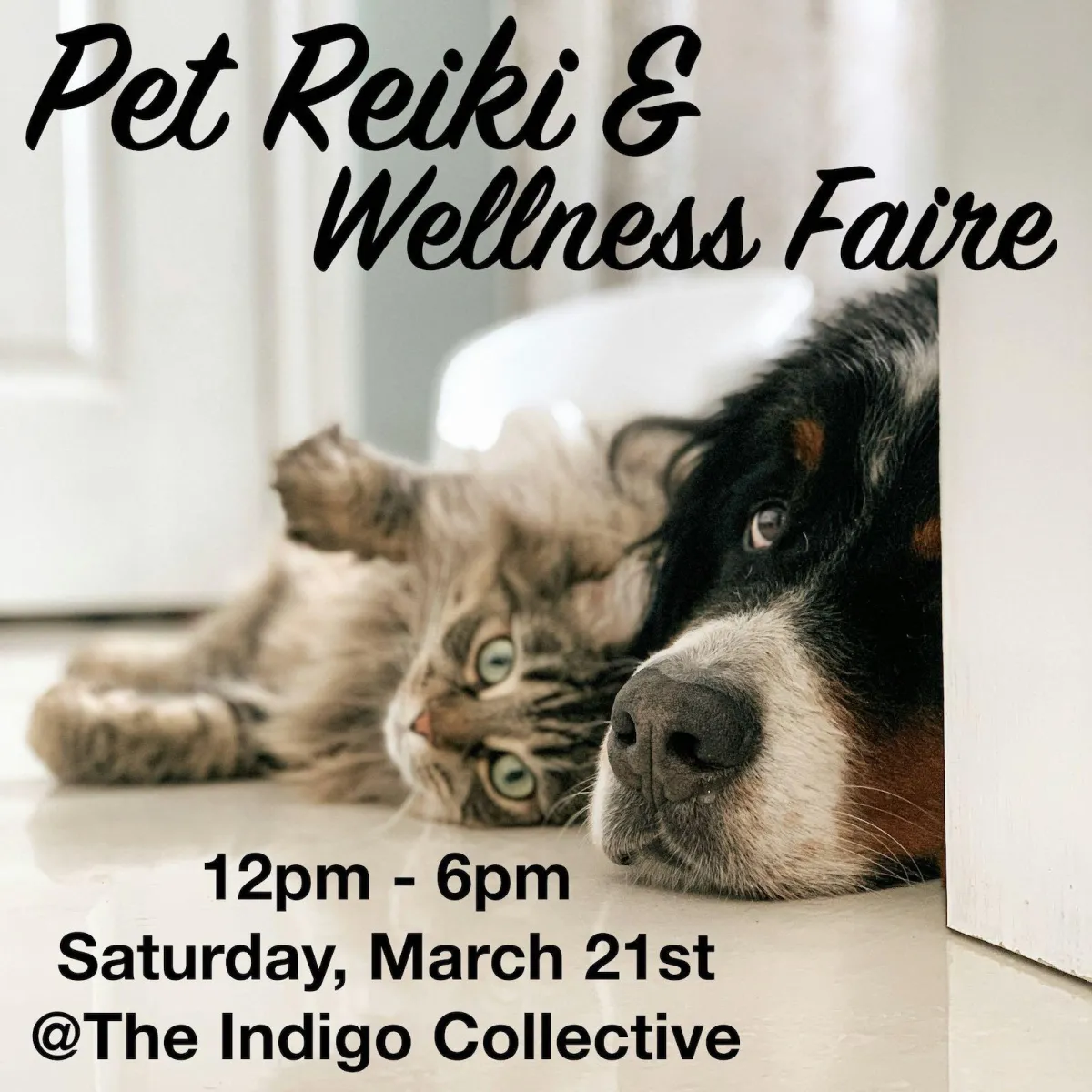 Pet Reiki & Wellness Faire