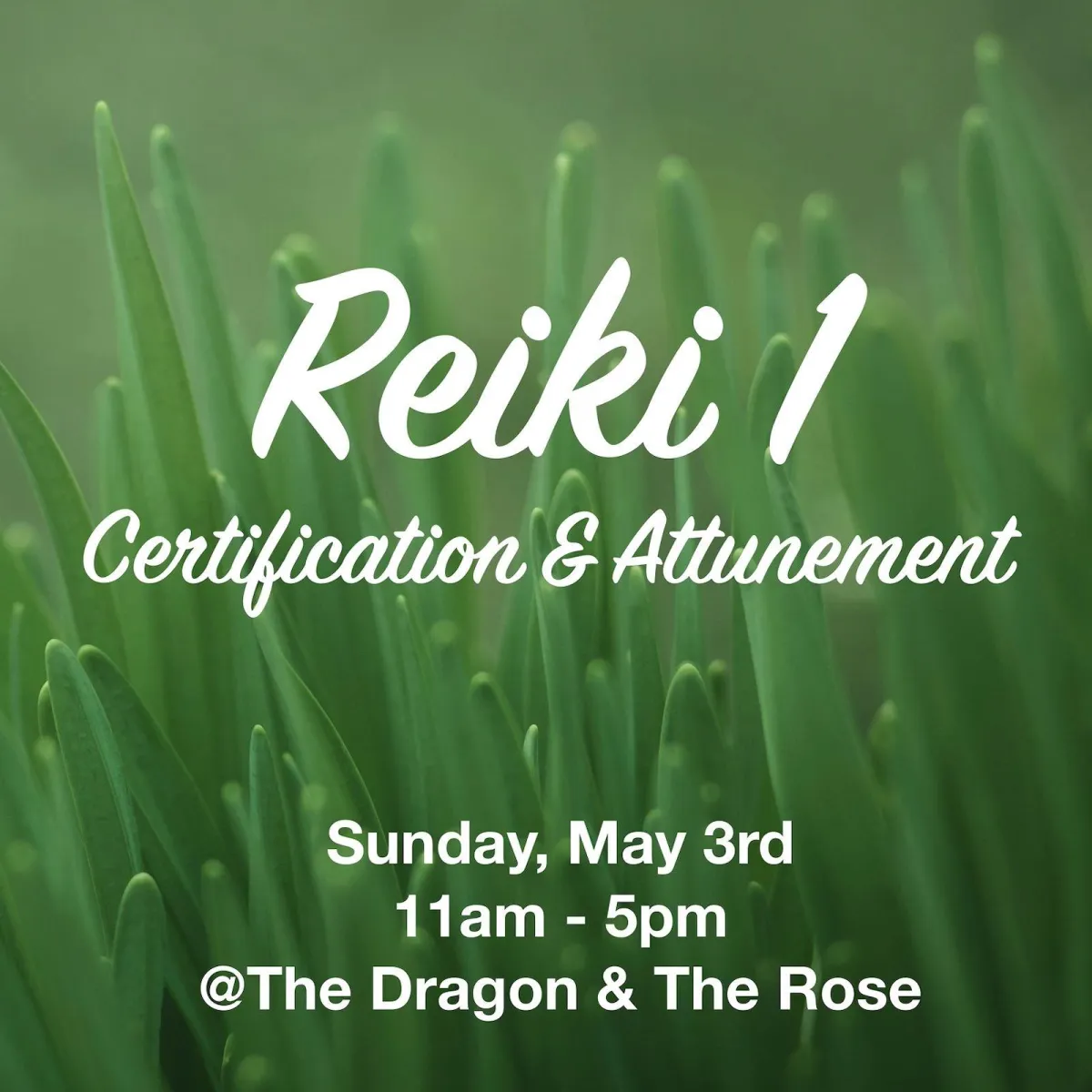 Reiki 1 Certification & Attunement