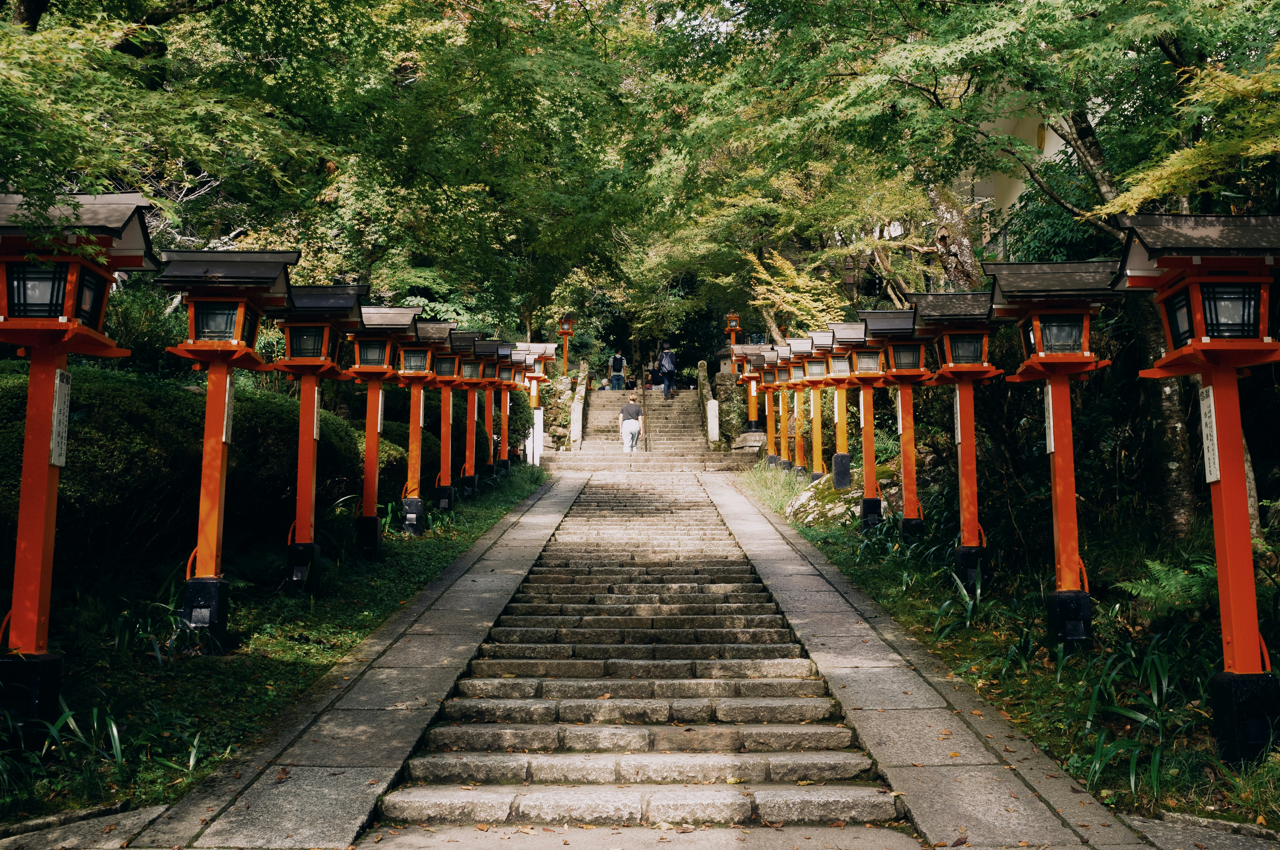 The History of Reiki