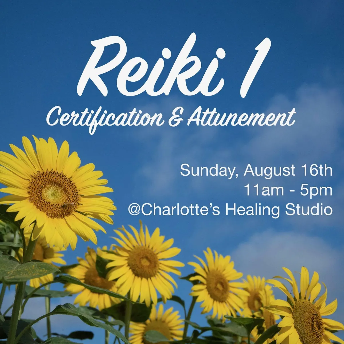 Reiki 1 Certification & Attunement