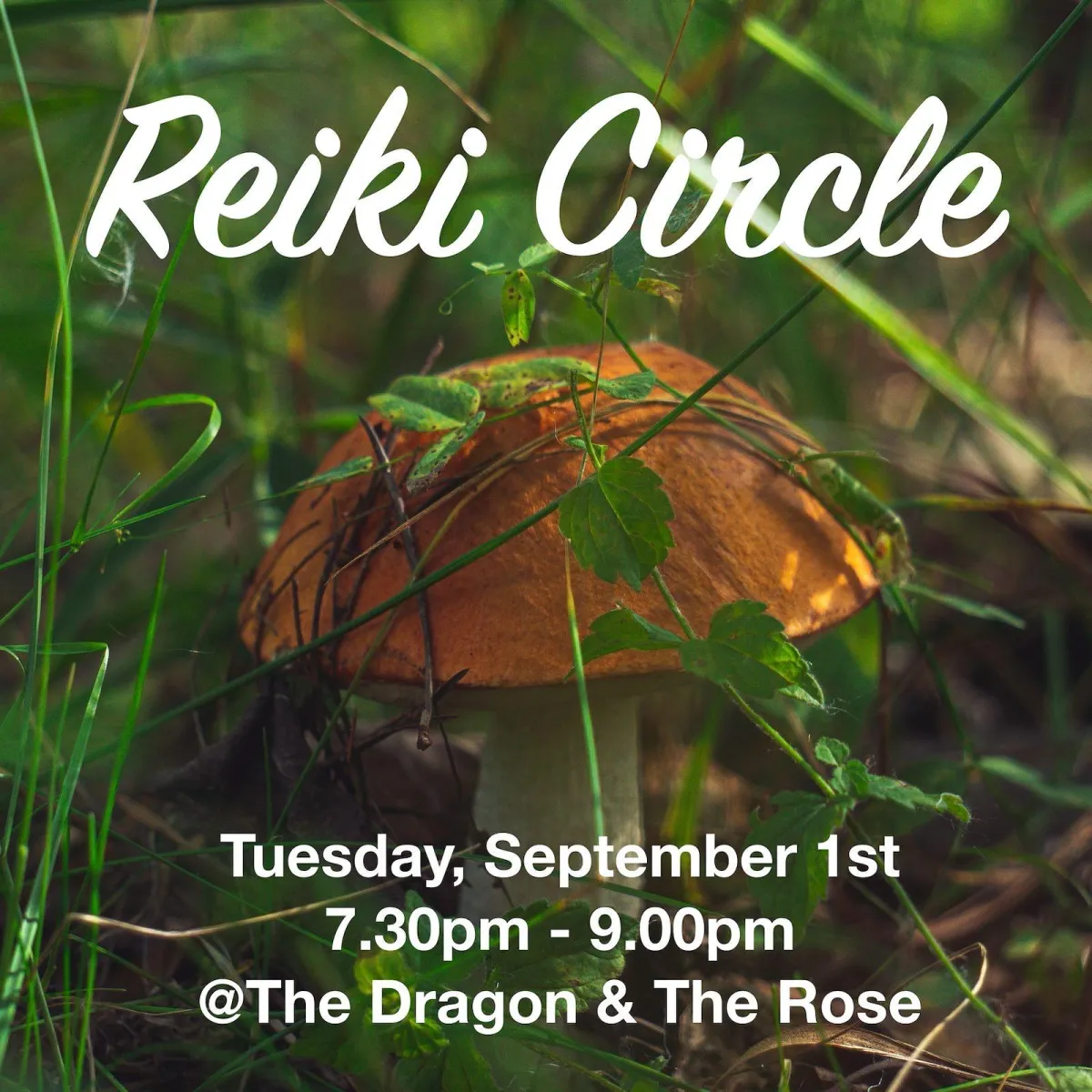 Reiki Circle