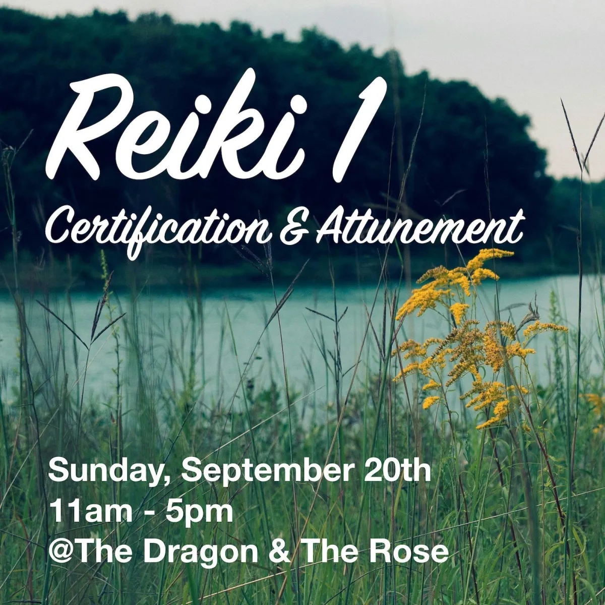 Reiki 1 Certification & Attunement