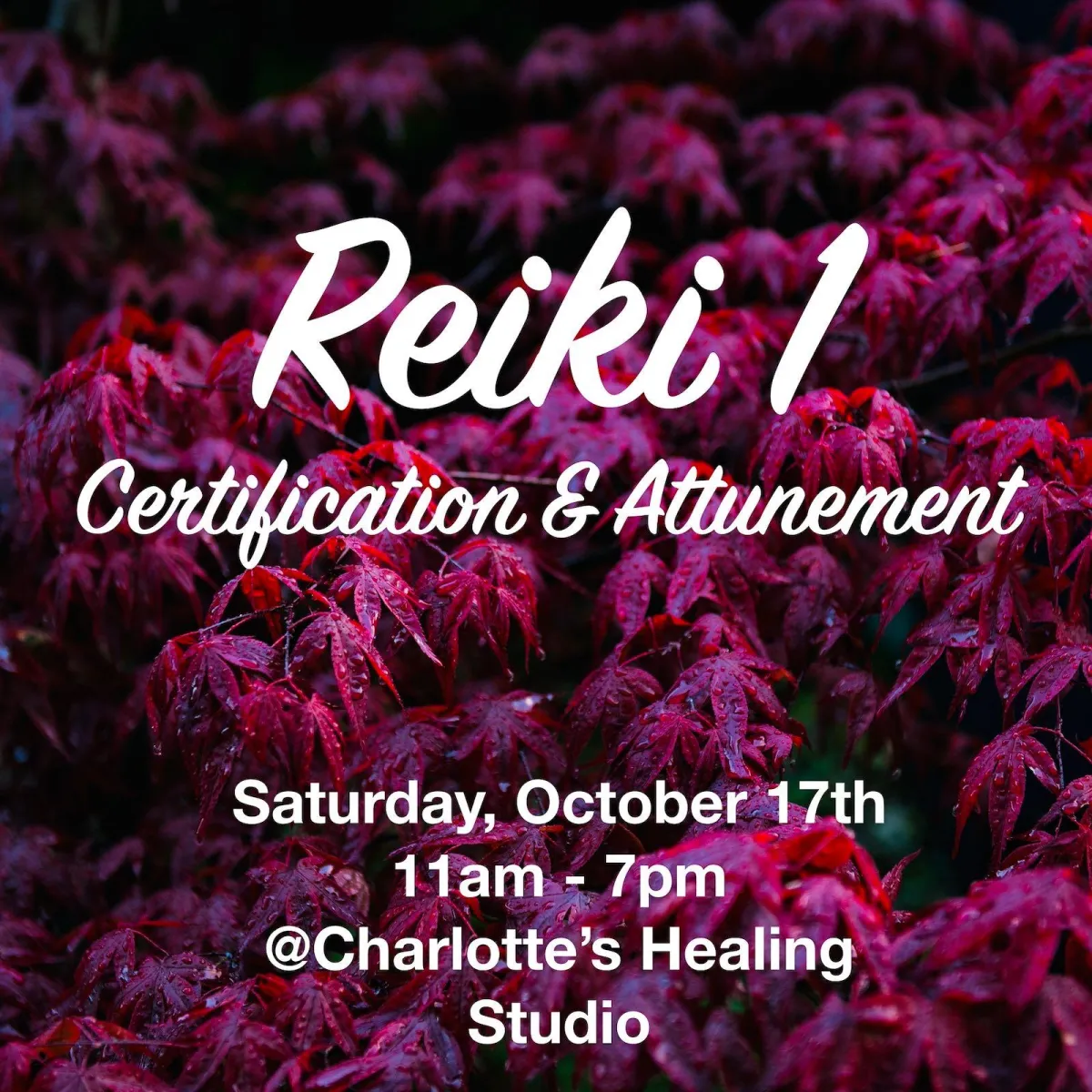 Reiki 1 Certification & Attunement