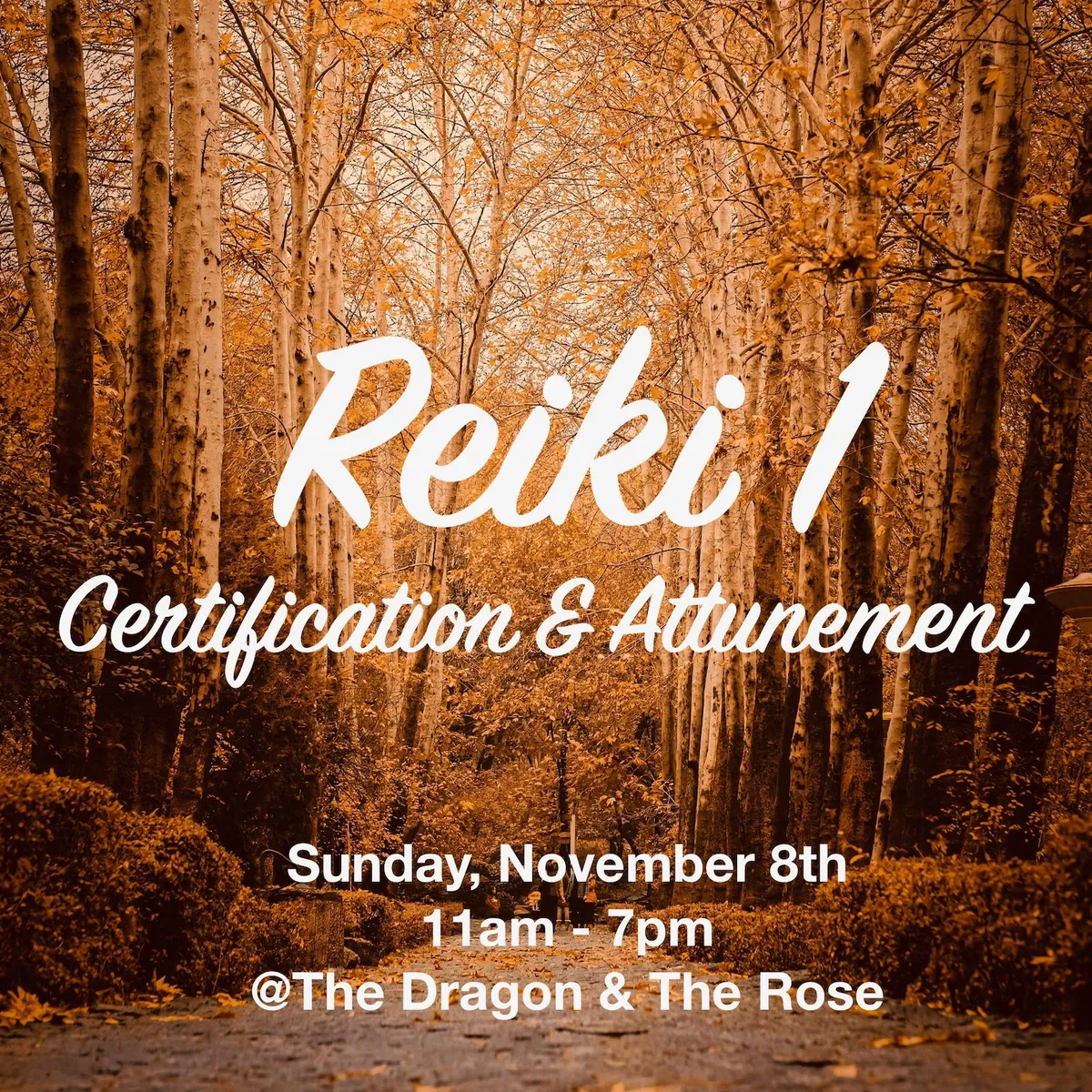 Reiki 1 Certification & Attunement