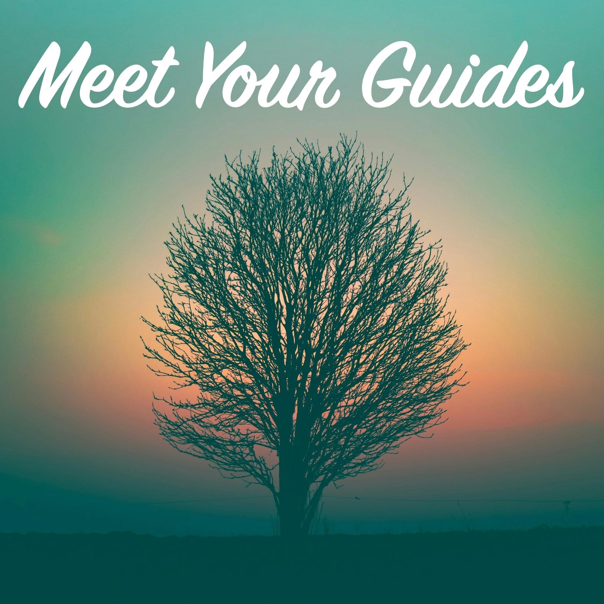 Meet Your Guides Online