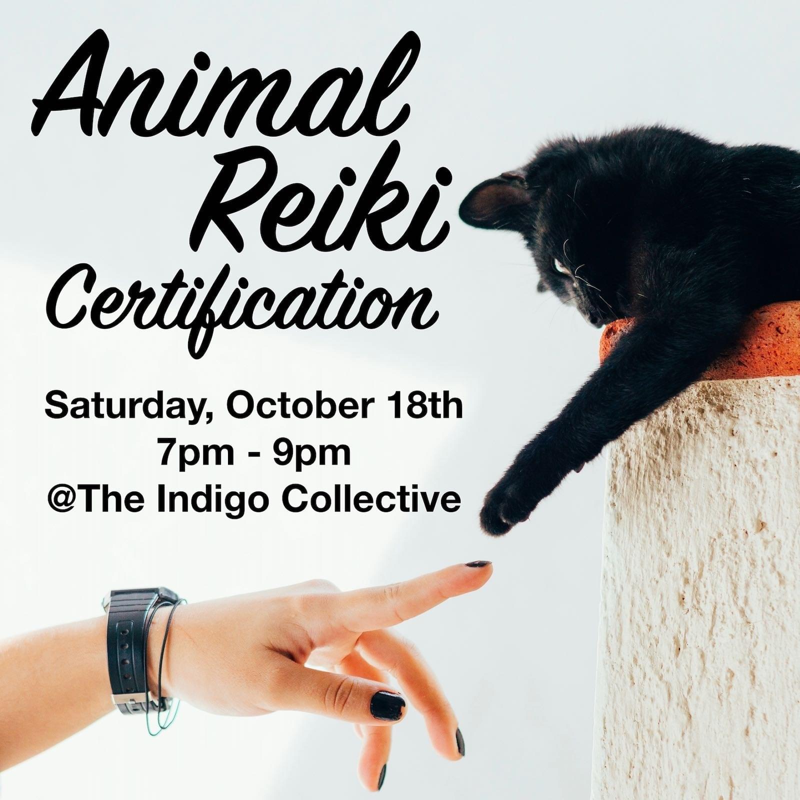 Animal Reiki Certification
