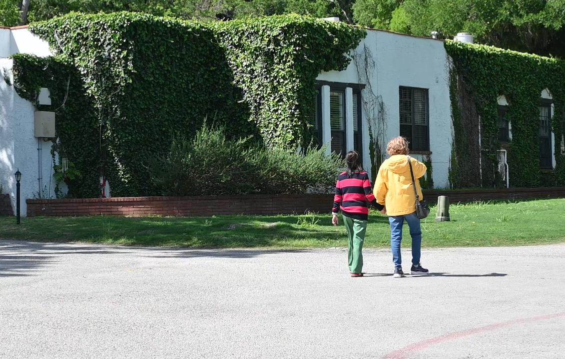 A black and white photo of trees in a field