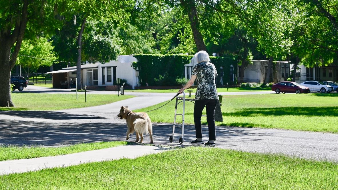 a group of people walking along a lake in front of mountains