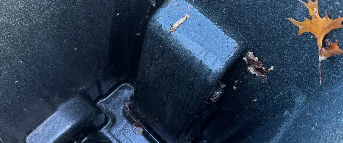 A close-up view inside a wet, textured dark grey or black bin with a brown oak leaf and debris.