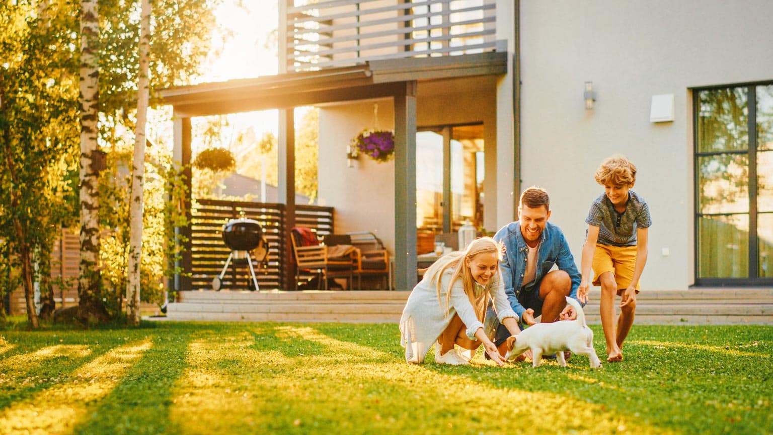 Effective Family Safe Pest Control