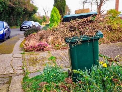 Yard Waste Removal in Lakeville
