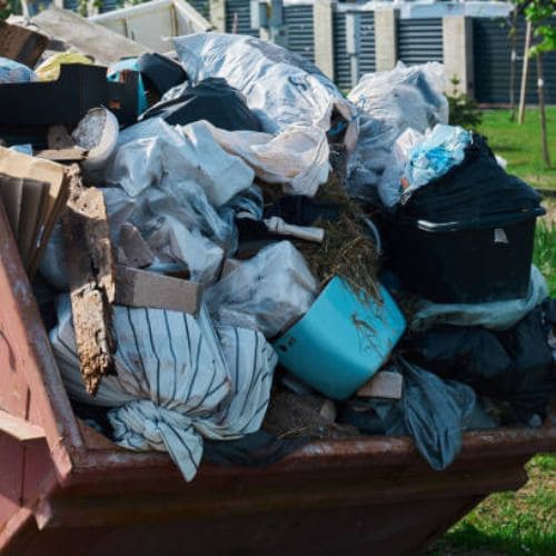 Yard Waste Removal Lakeville
