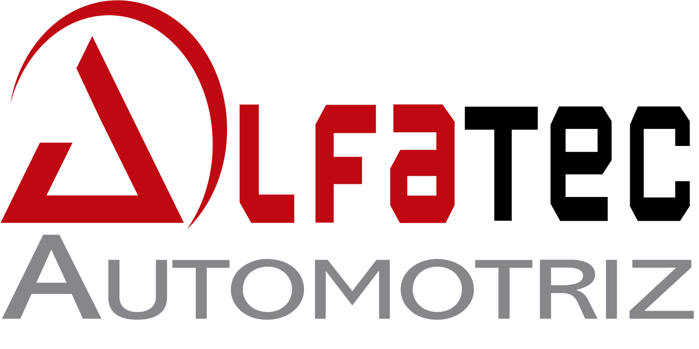 Práctica Profesional - Asistente de mercado digital - ALFATEC AUTOMOTRIZ SA