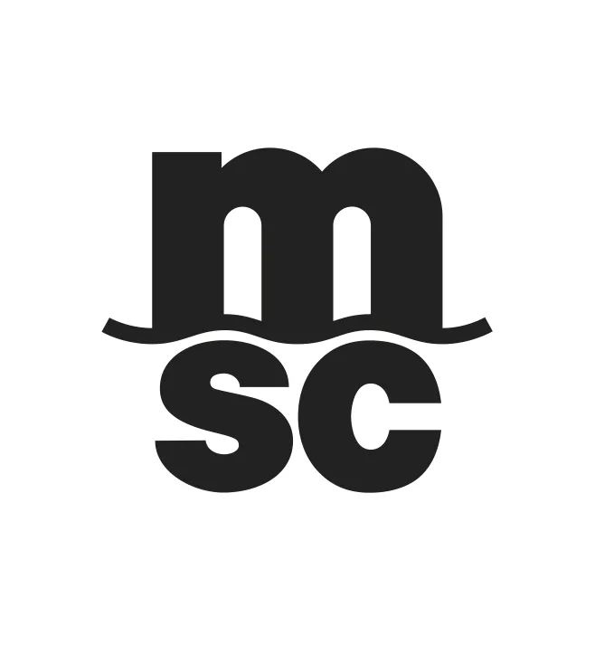 Práctica Profesional - Analista de Procesos  - MSC Panama S.A.