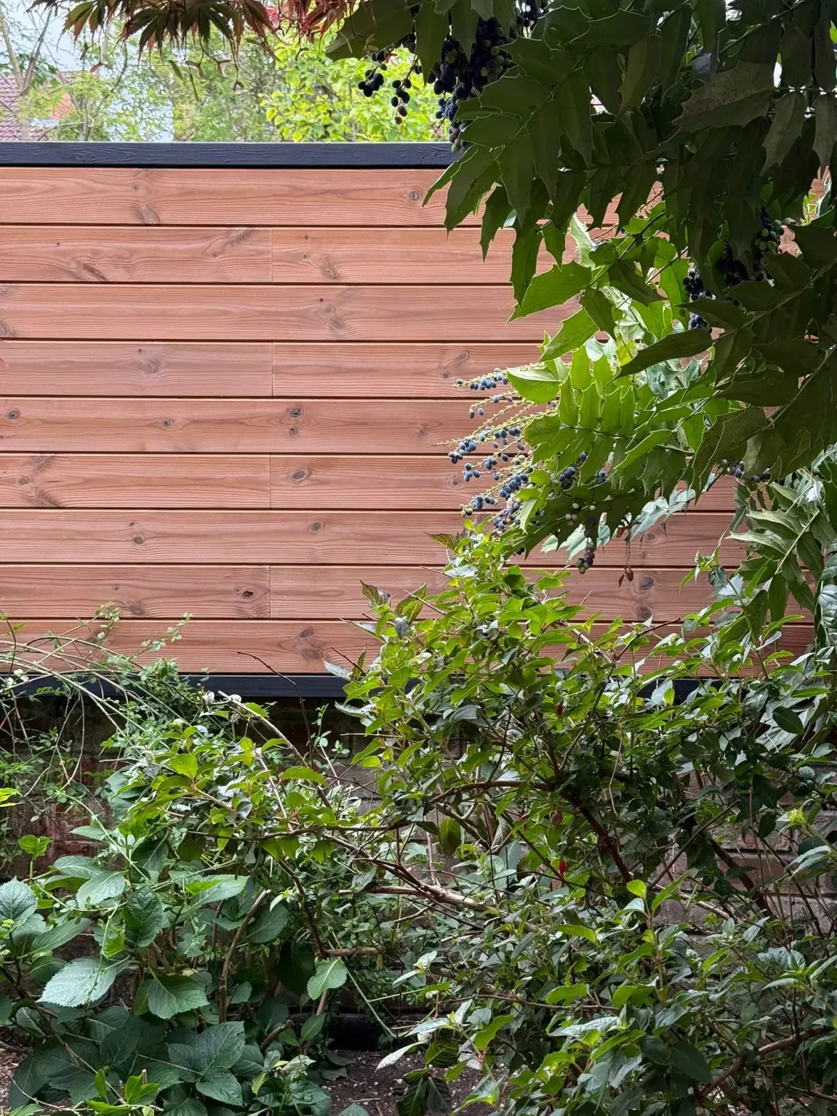 garden fence in West Bridgford