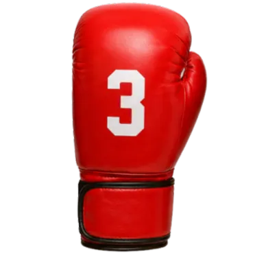 Boxing Glove 3