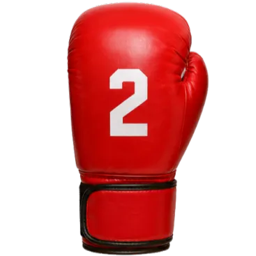 Boxing Glove 2