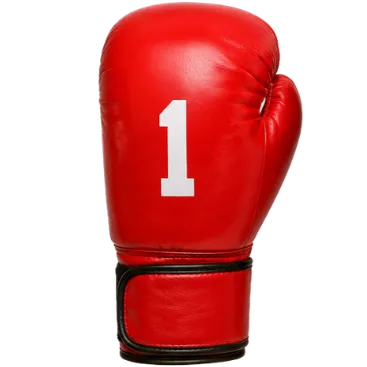Boxing Glove 1