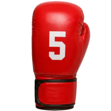Boxing Glove 5