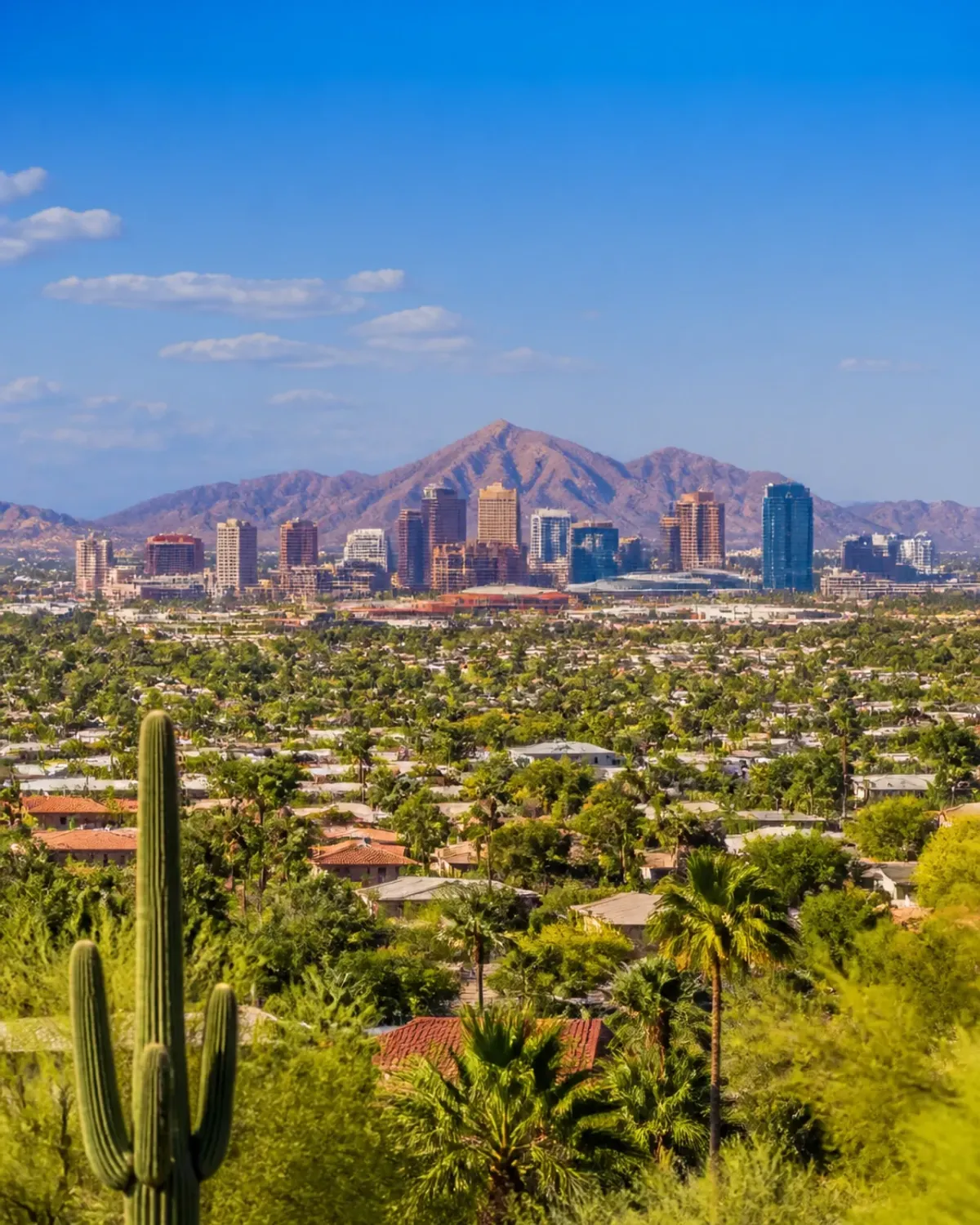 Phoenix AZ Real Estate Market 2026: Buyers Gain Leverage