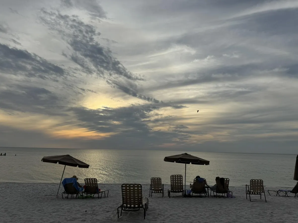 AI automation services for small businesses in Naples, Florida