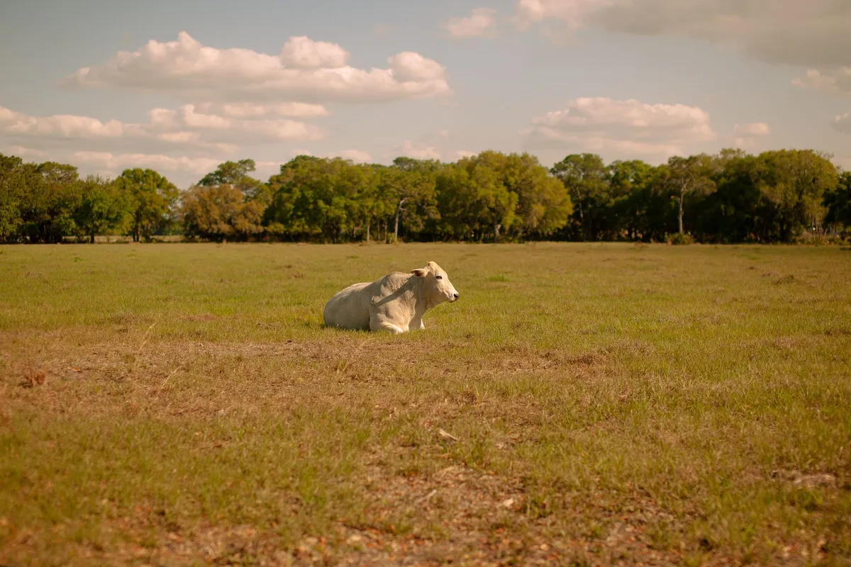 Florida vacant land appraisal