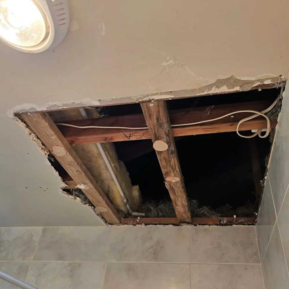 Wall and ceiling plaster repairs Hamilton