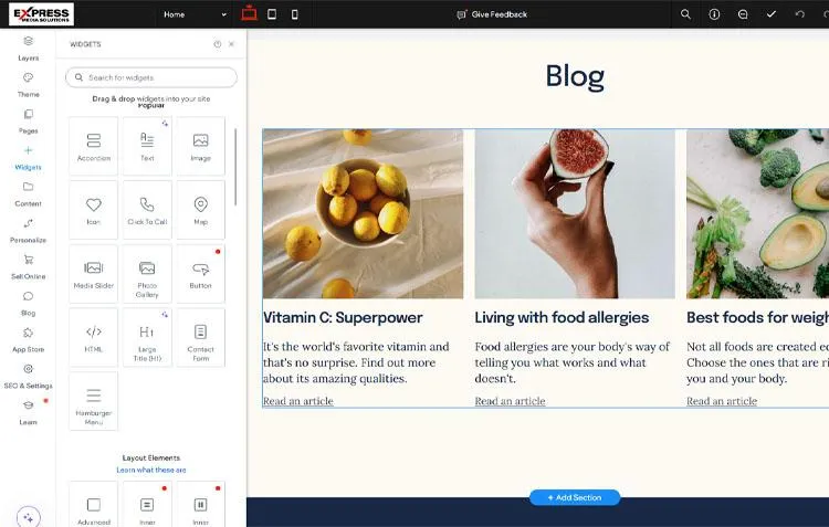 User-frienly website editor screenshot