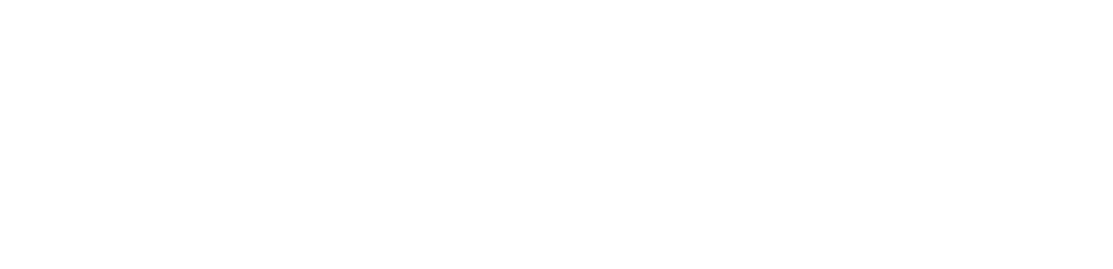 N Nicolás Attorney At Law