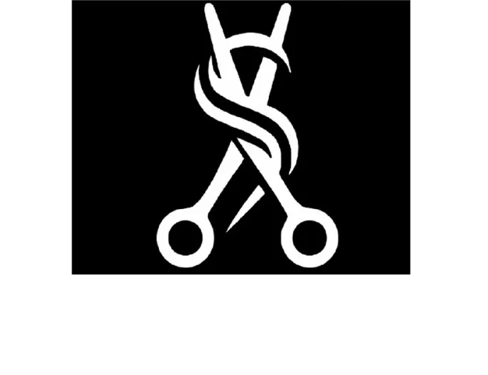 Star Hair Design Logo