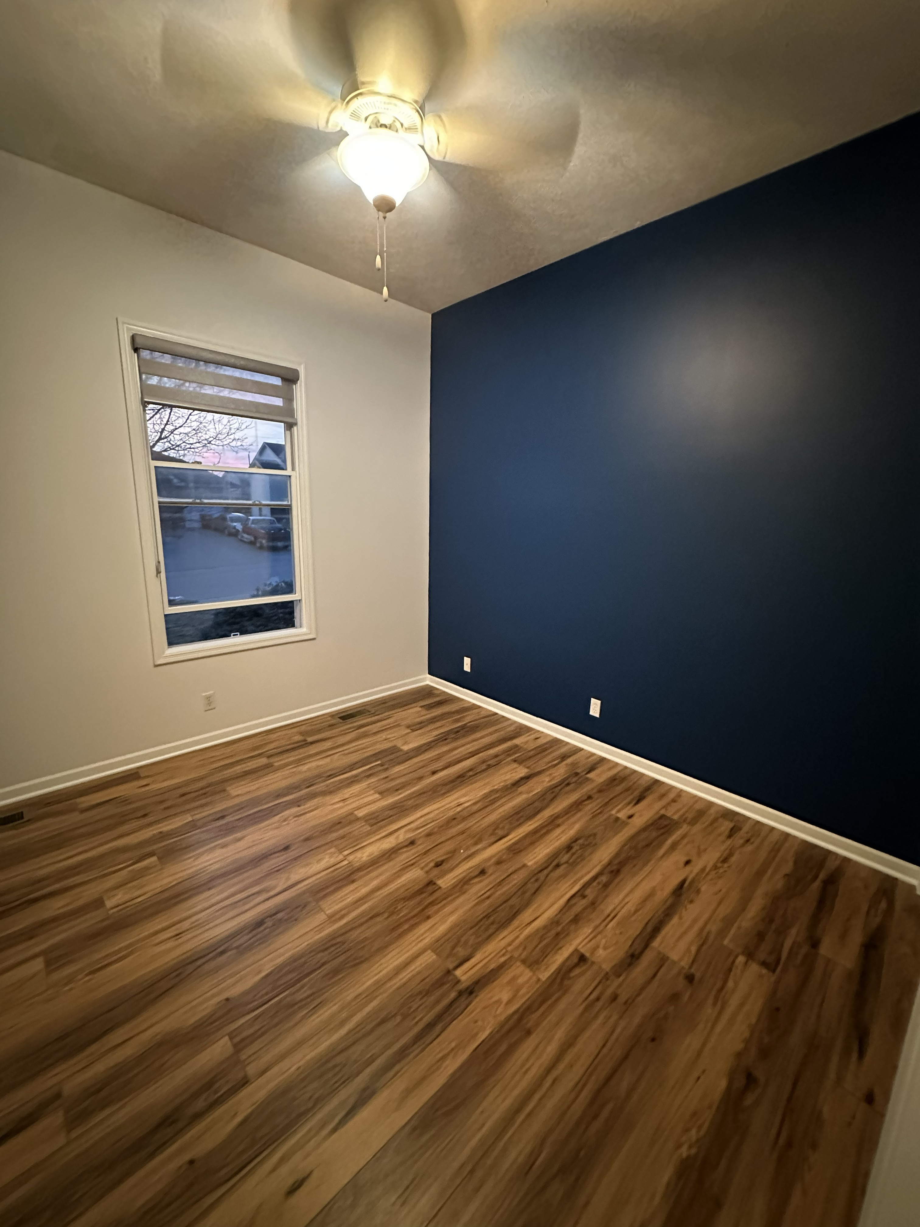 Accent Wall Painting in Omaha