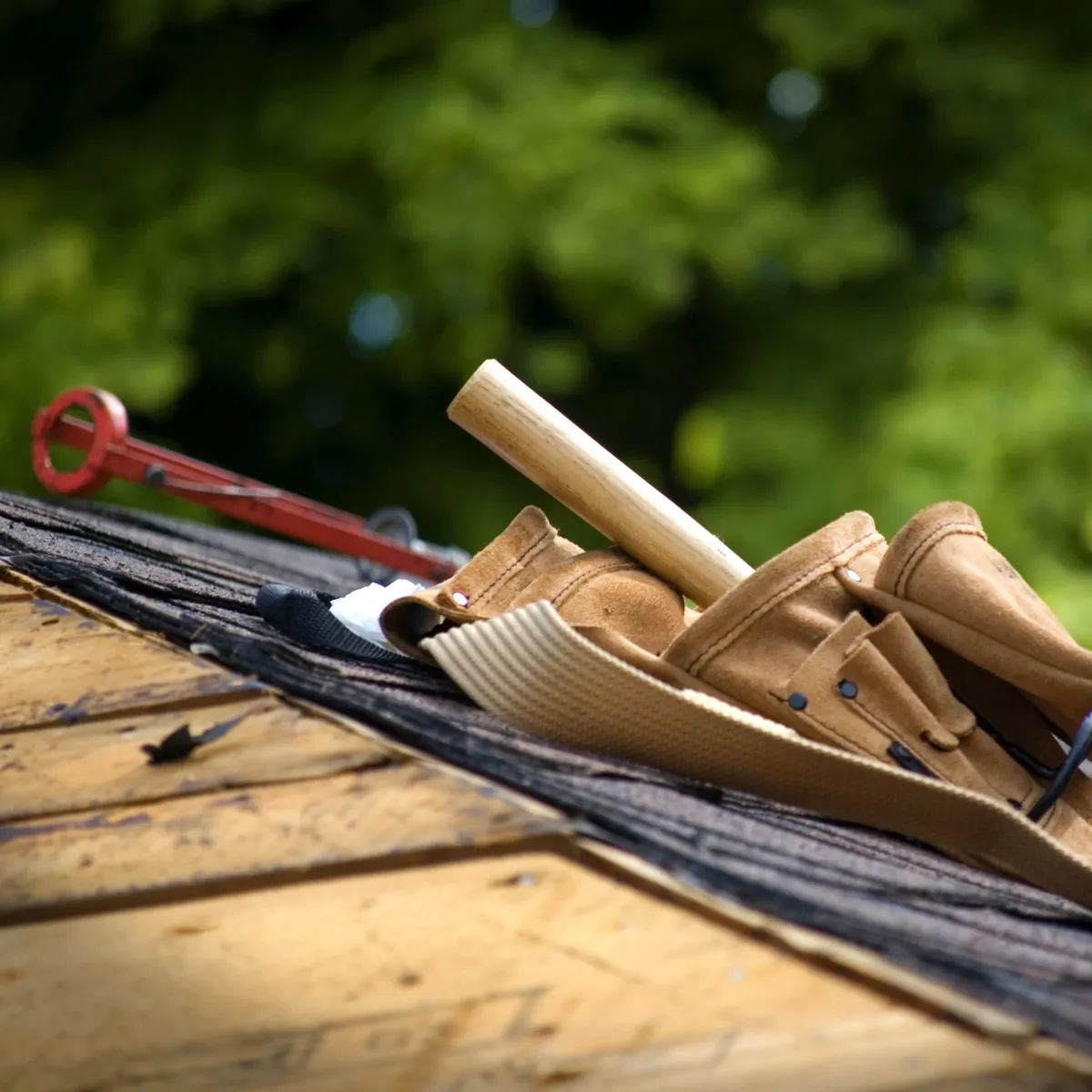 Roof Replacement