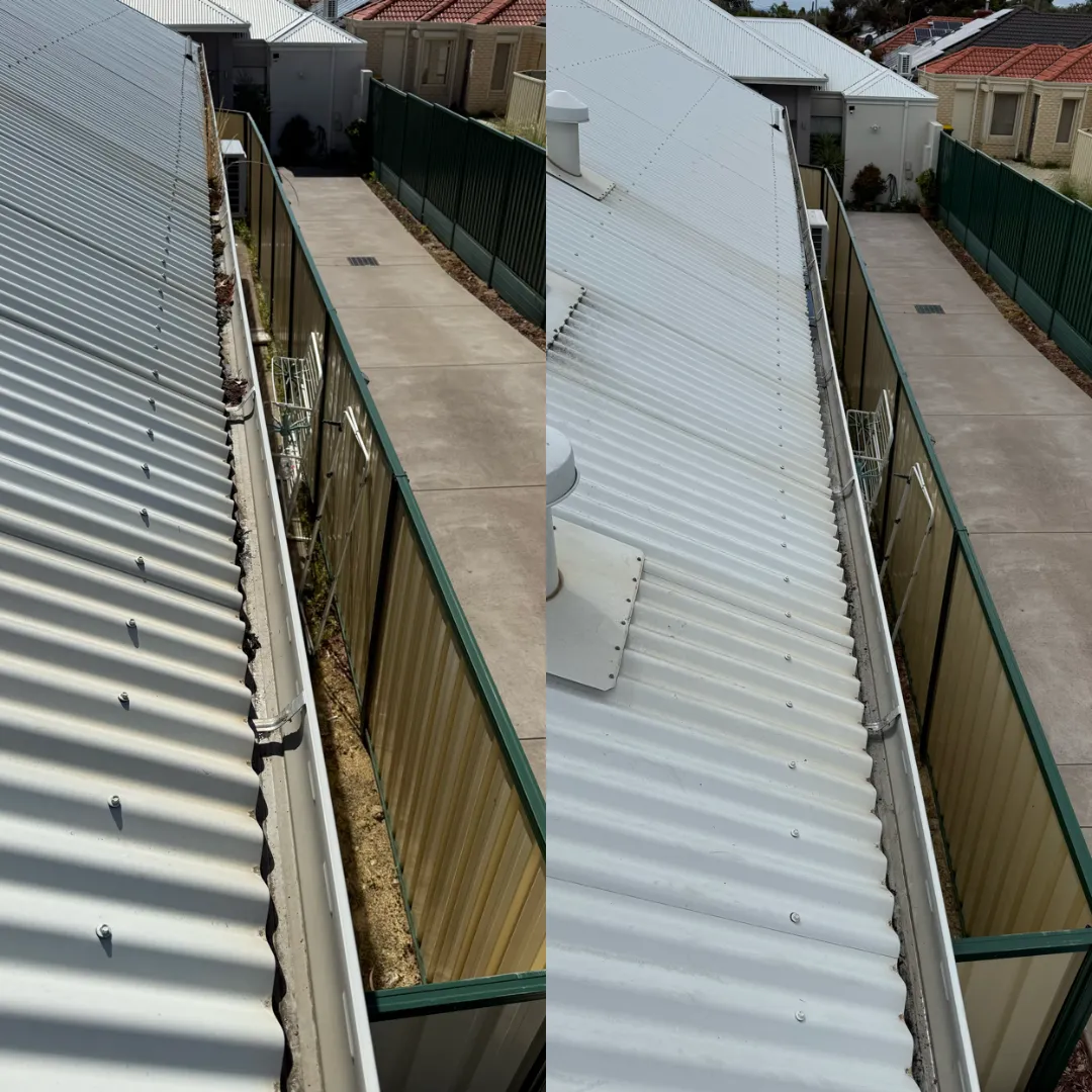 yard cleaning services ellenbrook