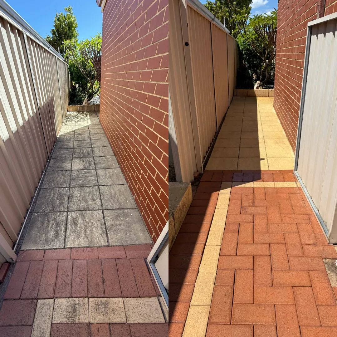 Tree Pruning Service Perth