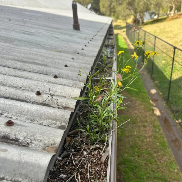 yard cleaning services ellenbrook