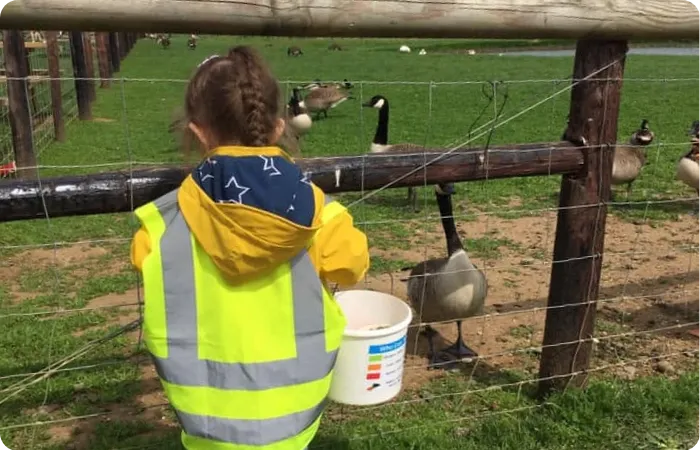 Kid feeding animals at Little Companions Leicester in Leicester