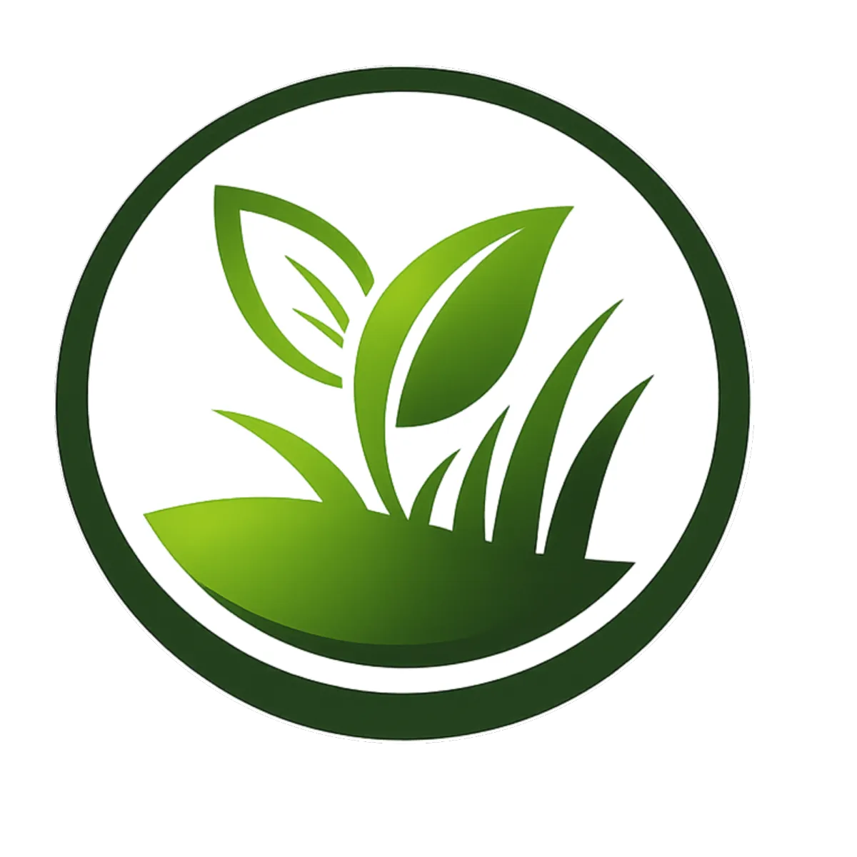 Sod Installation in Houston, TX