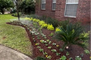 Irrigation Systems Houston, TX