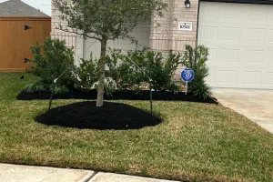 Fertilization Houston, TX