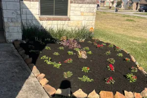 Mulch Installation in Houston, TX