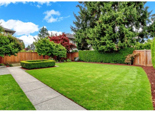 {{ custom_values.service_1 }} in {{custom_values.biz_area_1})