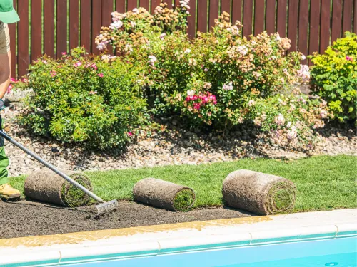 Sod Installation in Houston, TX