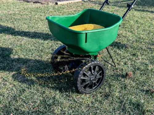 Fertilization in Houston, TX